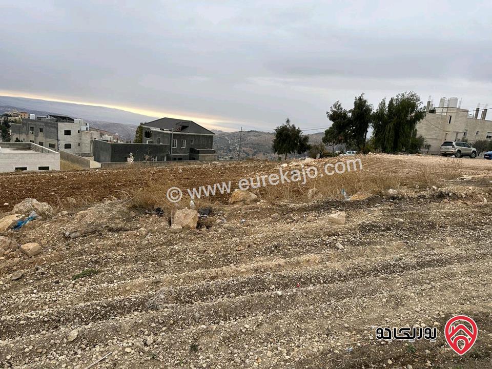 قطعة أرض مفروزة مساحة 750م للبيع في السلط - الجبيهة 