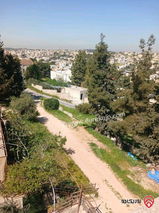ارض مساحة 2 دونم للبيع في عمان - عرقوب خلدا 
