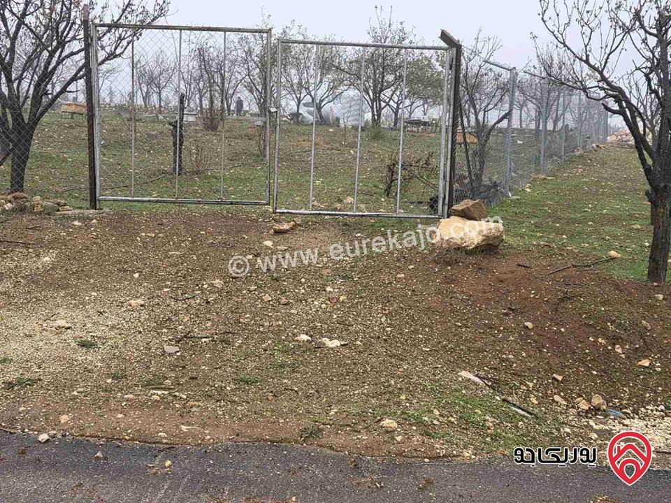 أرض مساحة 750م للبيع في عمان - ناعور