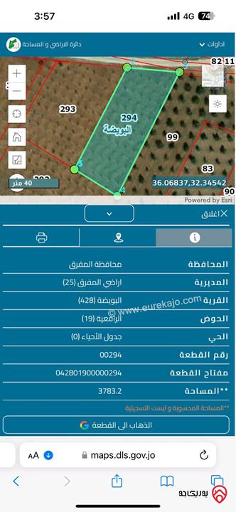 قطعتين أرض مساحة كل قطعة 4 دونم للبيع في المفرق - البويضة العليمات