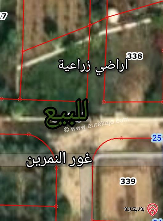 اراضي زراعية مساحة 656م للبيع في البحر الميت لانشاء شاليهات في الشونة الجنوبية 