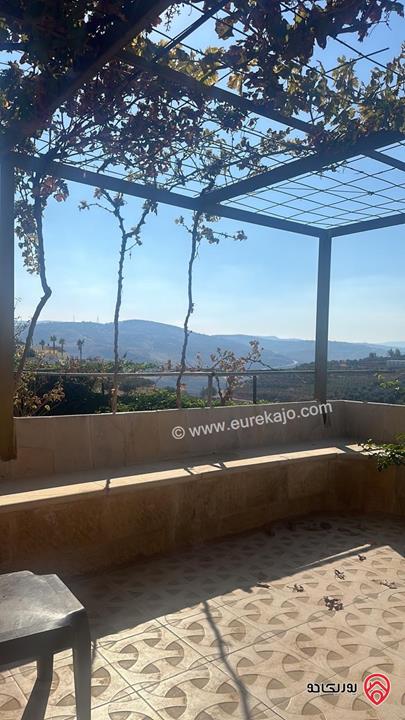 مزرعة فيها فيلا عدد 2 مساحة كل فيلا 300م على أرض 14 دونم للبيع في جرش