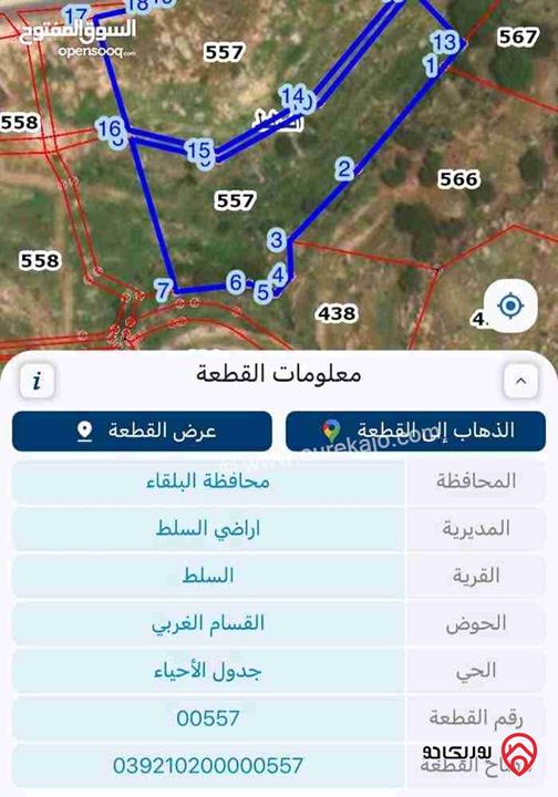 قطعتين أرض مساحة كل قطعة 9 دونم و 500م للبيع بسعر 90 ألف للقطعتين في السلط - القسام الغربي