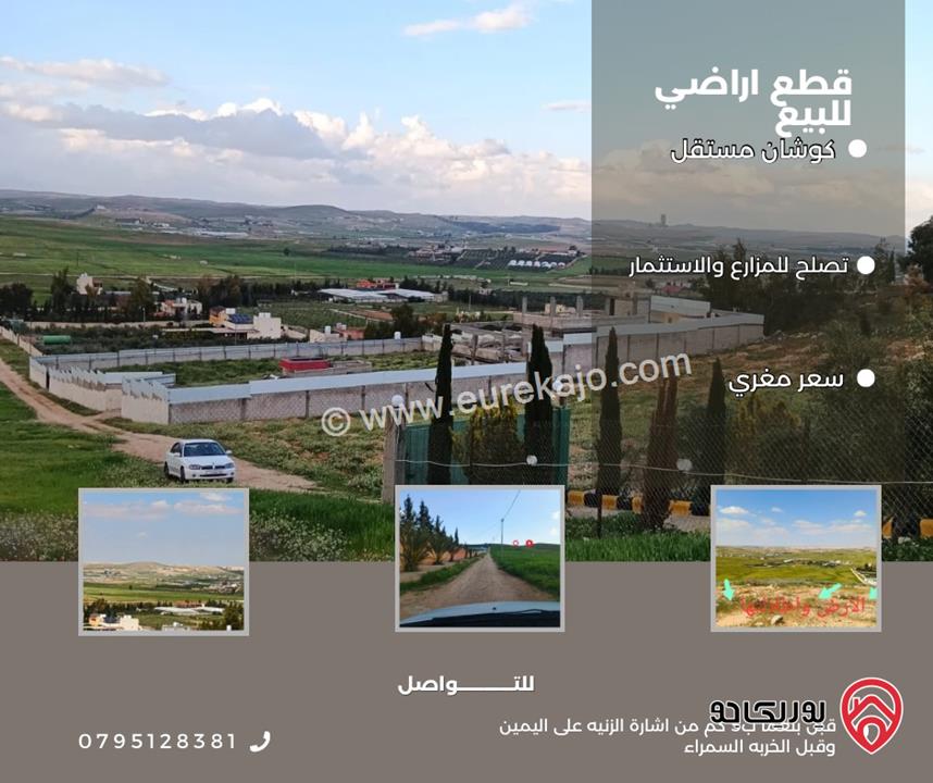 قطعة ارض مساحة 3 دونم 407م للبيع في المفرق