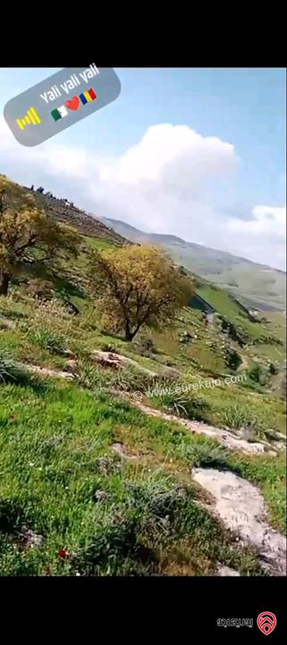 أرض مساحة 5 دونم و 760م للبيع في الزرقاء - صروت تبعد عن عمان 20 دقيقة