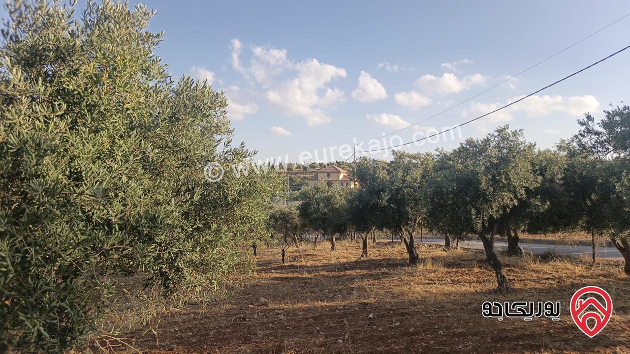 مشروع اراضي سكنية مساحة 750م للبيع في عمان - ناعور 