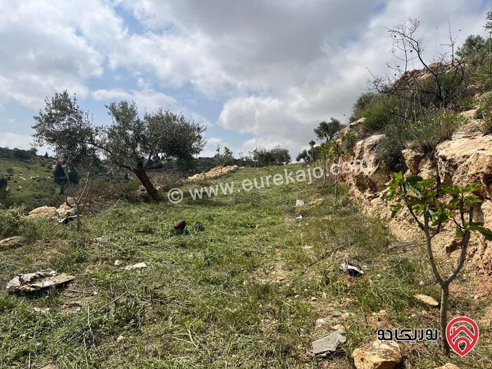 قطعة أرض زراعي مساحة 8 دونم و 830م للبيع في السلط - المغاريب 