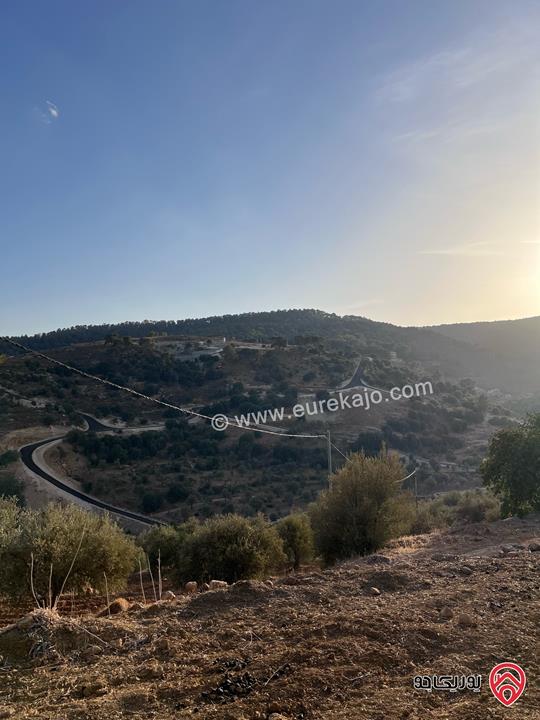 مزرعة مساحة الأرض 6 دونم و 500م للبيع في جرش منطقة جمله قريبة من محمية دبين اطلاله جميلة جداً وسعر حرق وربنا يبارك لصاحب النصيب