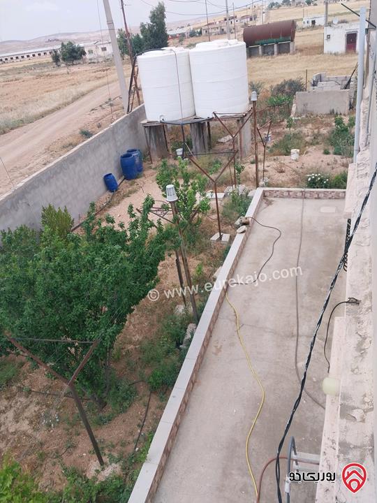 مزرعة مساحة الأرض 5217م وفيها بناء 80م للبيع في المفرق - بلعما الزيتونة 