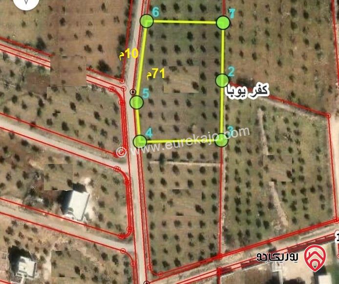 قطعة ارض 3519متر للبيع في اربد من اراضي كفريوبا - ضمن حوض السهلات الشمالية 