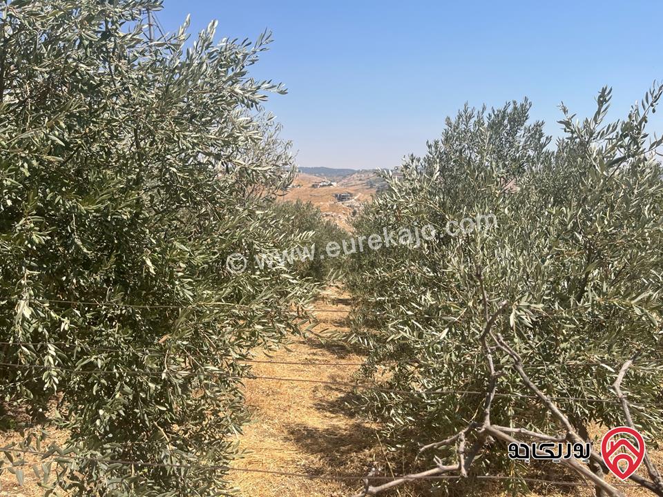 أرض مساحة 3 دونم و 600م للبيع في السلط