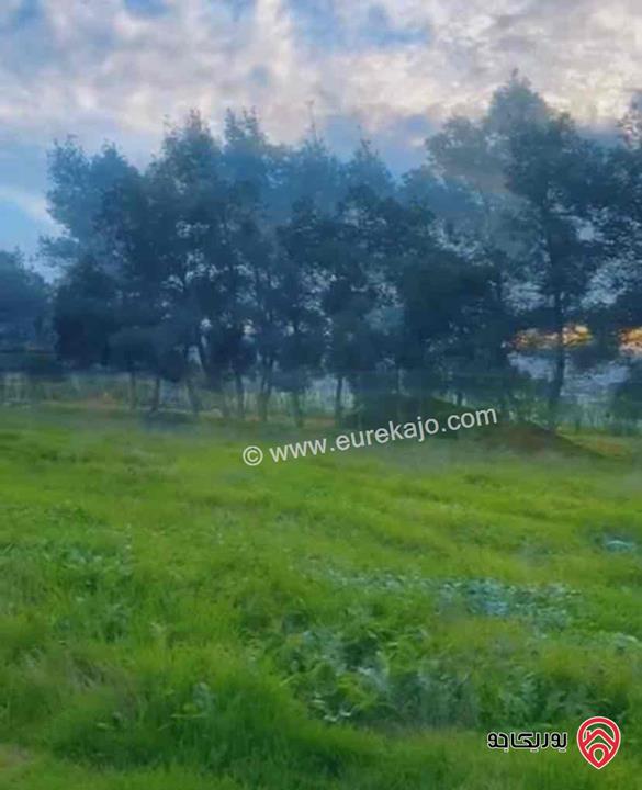 ارض مساحة 10 دونم للبيع من أراضي شمال عمان -  موبص