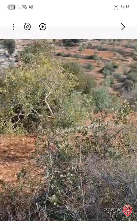 أرض مساحة 5 دونم و 603م للبيع في اربد - ملكا