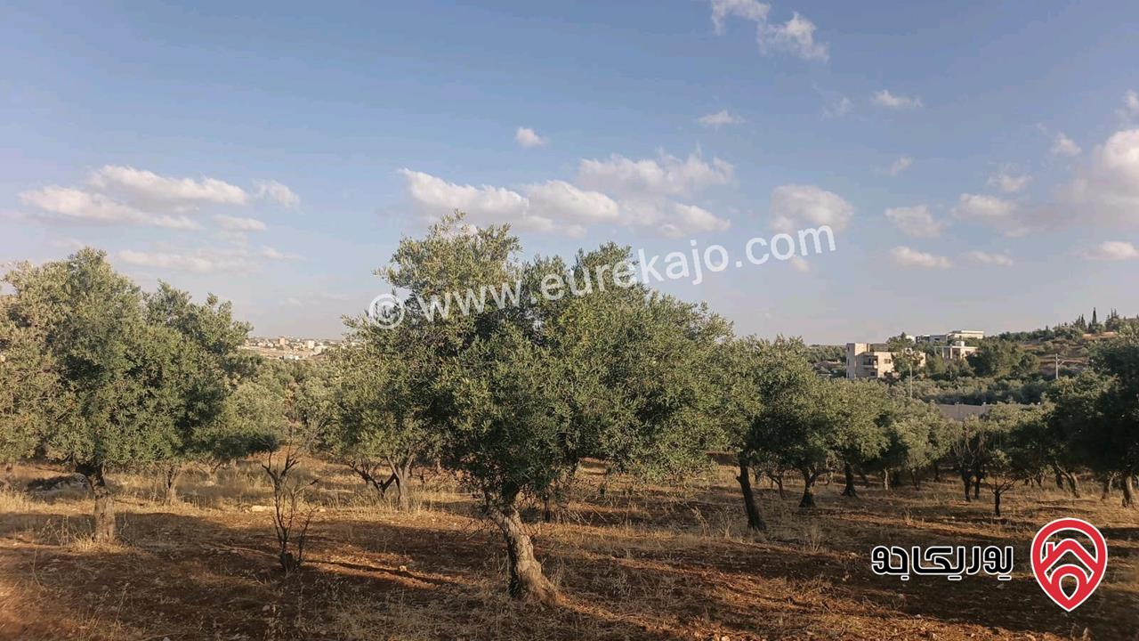 قطع اراضي سكنية مساحة 750م للبيع في عمان - ناعور من ضمن مشروع ابو الغزلان 3 