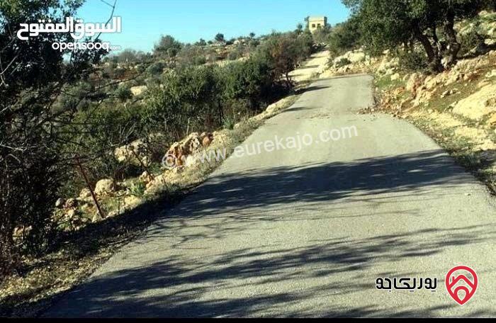 ارض مزرعة استثمارية مساحة 13 دونم للبيع بجبال عجلون - خربة الوهادنه السياحية التنموية 