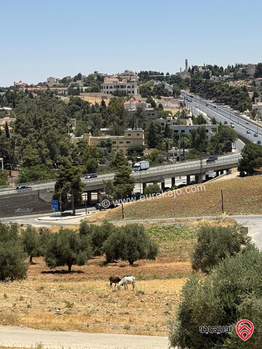 روف فاخر مساحة 375م للبيع في عمان - الحمر 