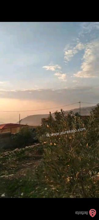 أرض مساحة 546م  للبيع في عمان - ناعور