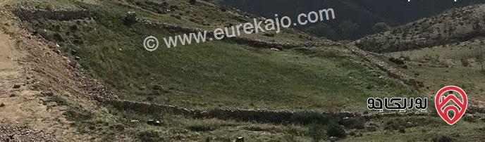 قطعة ارض تصلح لبناء شاليه مساحة 1 دونم و 483م للبيع في جرش