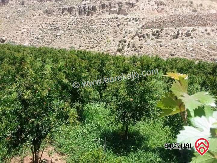 استراحة شلالات الرميمين السياحية مساحة 8 دونم للبيع البلقاء - الرميمين