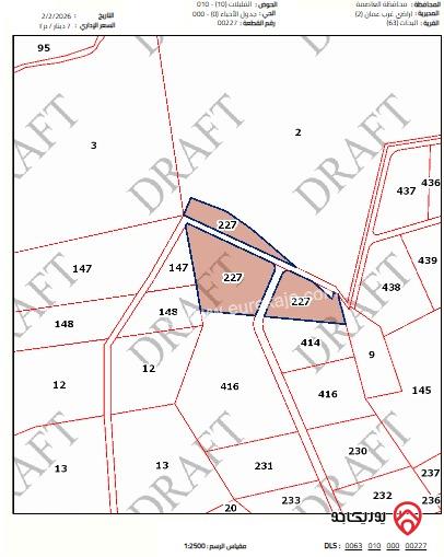أرض مساحة 9 دونم للبيع في عمان - ابو السوس