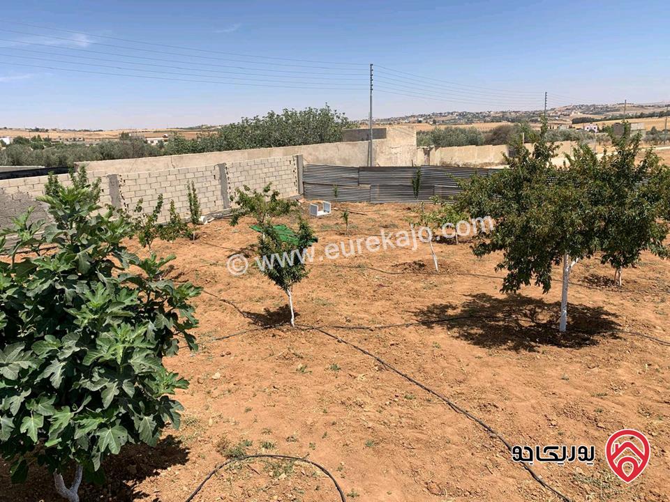 مزرعة مساحة 5 دونم وبناء 160م للبيع في مادبا - لب - قرب الجامعة الامريكية