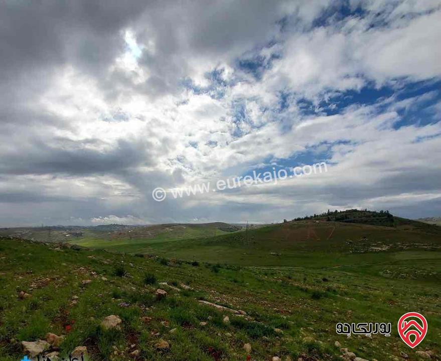 أرض مساحة 10294م للبيع في عمان في منطقة شفا بدران زينات الربوع من المالك مباشره
