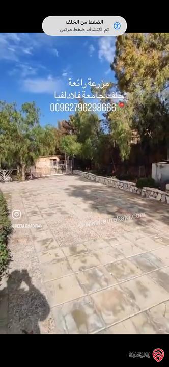 مزرعة فاخرة مساحة 5 دونم للبيع في جرش خلف جامعة فيلادلفيا منطقة تلعة الرز 