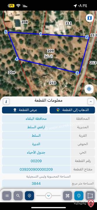 مزرعة مساحة 3884م مزروعة زيتون للبيع في السلط - الديرة الصبيحي