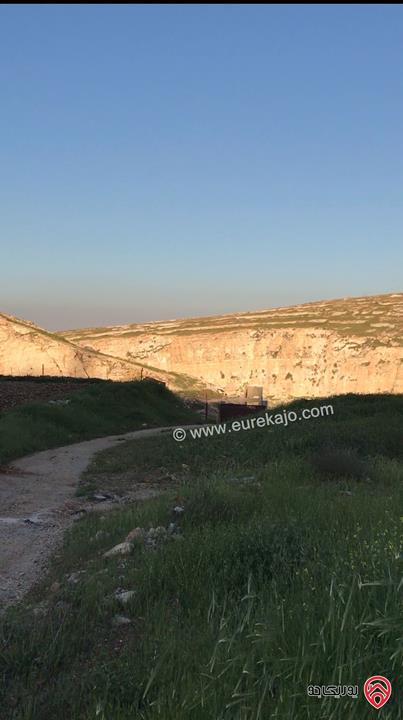 قطع أراضي عدد 3 مساحتهم الكلية 15 دونم و 340م للبيع في اربد - الحصن