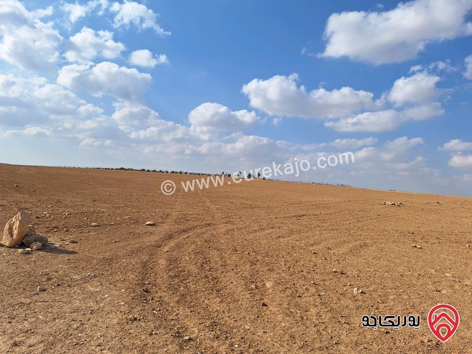 قطعة ارض زراعية مساحة 12 دونم و 690م للبيع في مادبا - منطقة فلحة أراضي ذيبان