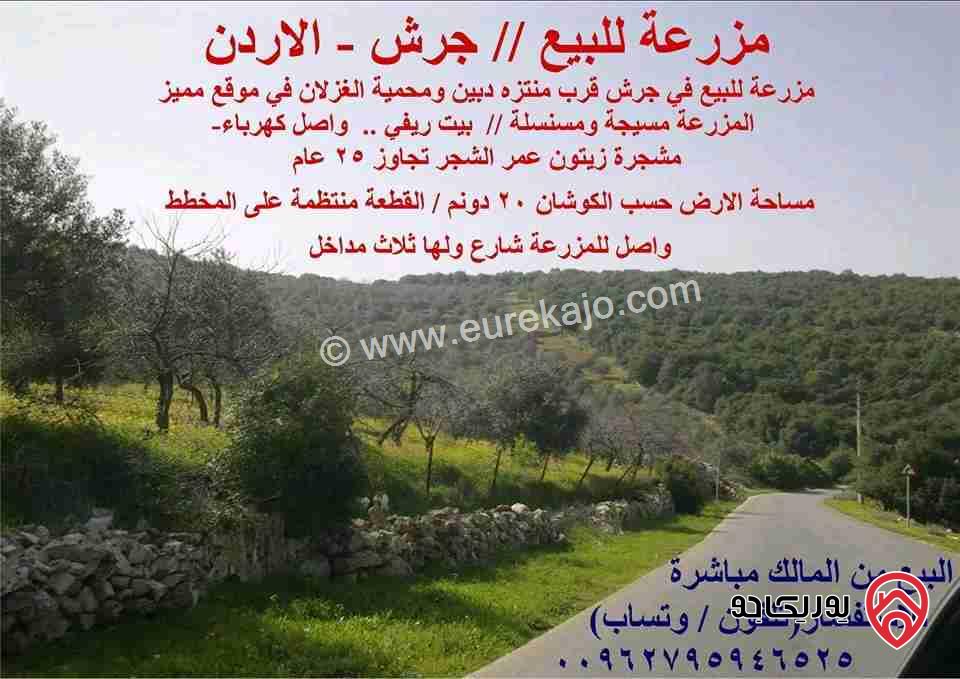 مزرعة مساحة الأرض 20 دونم و 462م للبيع في منطقة جرش