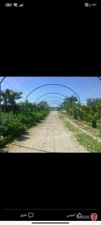 مزرعة فاخرة مساحة 17 دونم للبيع في مادبا – منطقة الزعفران