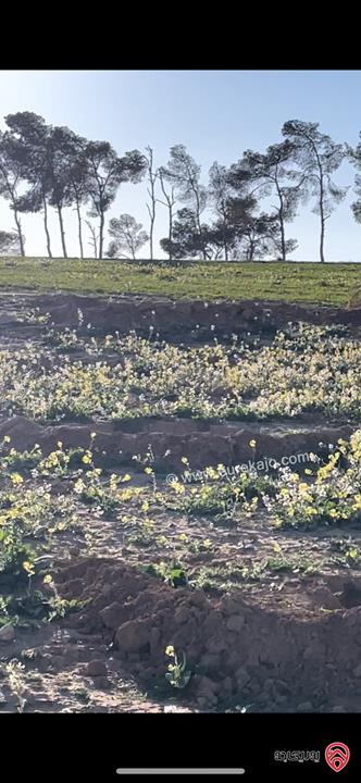 مزرعة مساحة الأرض 7 دونم و البناء 140م للبيع في الكرك