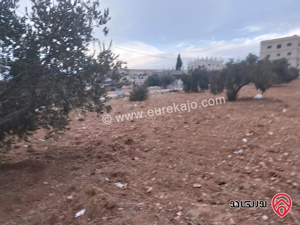 ارض للبيع مساحة الأرض 942م في المفرق - بلعما داخل التنظيم    