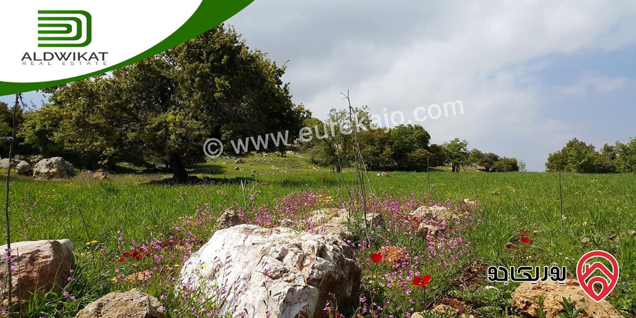 ارض مستوية للبيع من أراضي جنوب عمان/ الخضراء مساحة 3750 م موقع مميز 