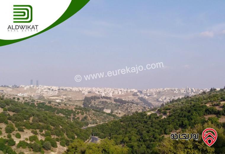 ارض للبيع في جرش / عنيبة مساحة الارض 3400م موقع اطلالة ومزارع وشاليهات