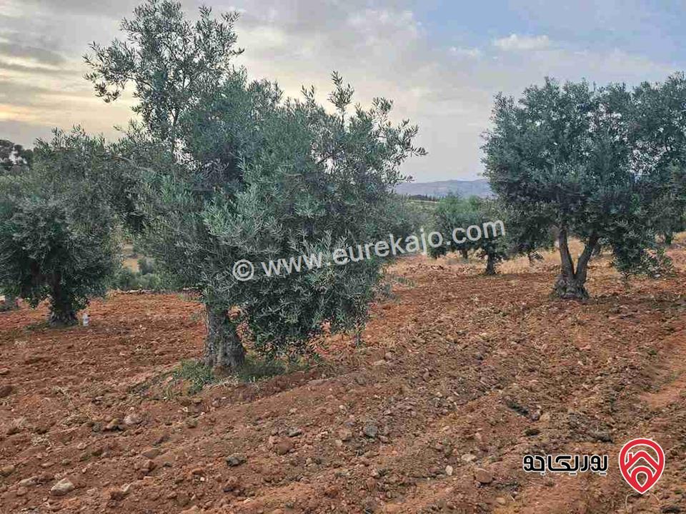 قطعة أرض زراعية مساحة 4 دونم و 253م للبيع في السلط الصبيحي سيحان