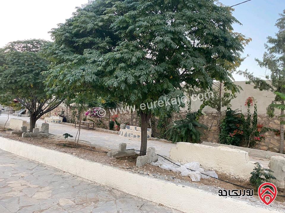 مزرعة مساحة الأرض 4 دونم و 60م للبيع في المفرق - بلعما مع أشجار زيتون مع أشجار زينة