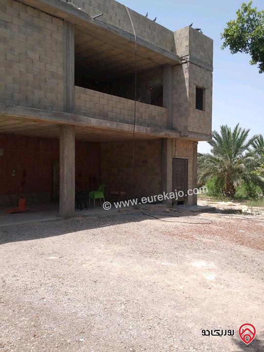 مزرعة نخيل مساحة الأرض 40 دونم وفيها بناء مساحة 210م للبيع في البلقاء - الأغوار الوسطى منطقة الكرامة