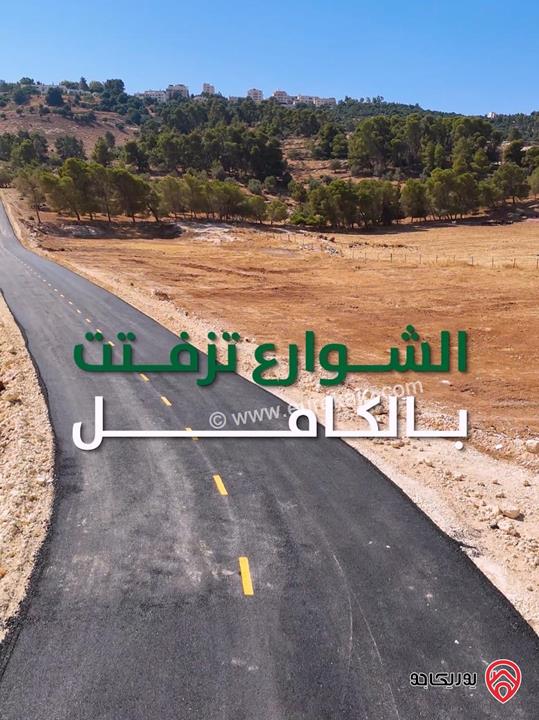 أرض مساحة 3 دونم و 400م للبيع في عمان - عين الباشا