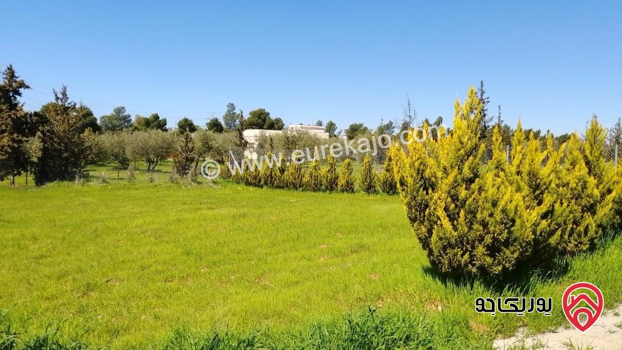 مزرعة مساحة 4 دونم و 174م للبيع من أراضي جنوب عمان - منطقة ام العمد 