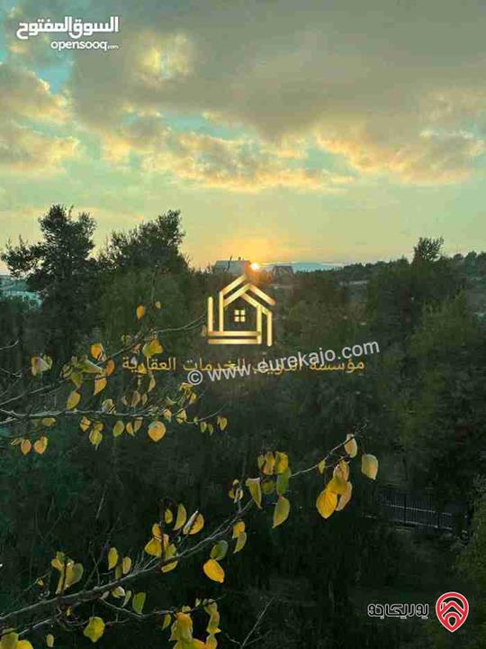 شقة فارغة شبه أرضية مساحة 120م للايجار في عمان - دابوق 