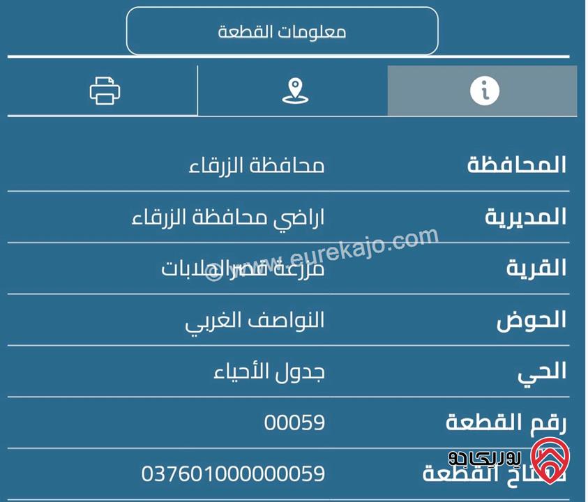 قطعة أرض مساحة 11 دونم للبيع في الزرقاء - منطقة الظليل