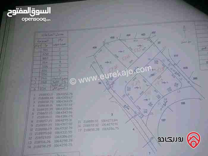 قطع أراضي بمساحات من 500م - 700م للبيع في الكرك - الثنية حوض 17 
