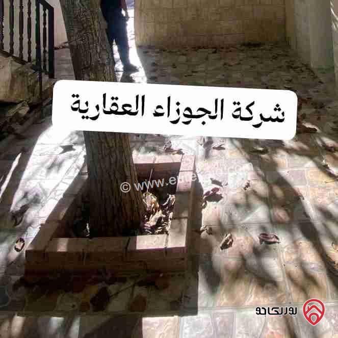 شقة ارضية مساحة 100م مع ترس 20م فارغة للايجار في عمان - الياسمين