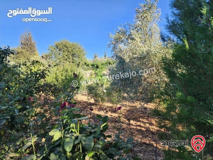 مزرعة مساحة الأرض 2 دونم و 491م للبيع بمنطقة  السلط - زيّ 