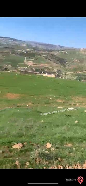 قطعة أرض مساحة 11 دونم و 600م للبيع في جرش يمكن فرزها لأربع قطع 