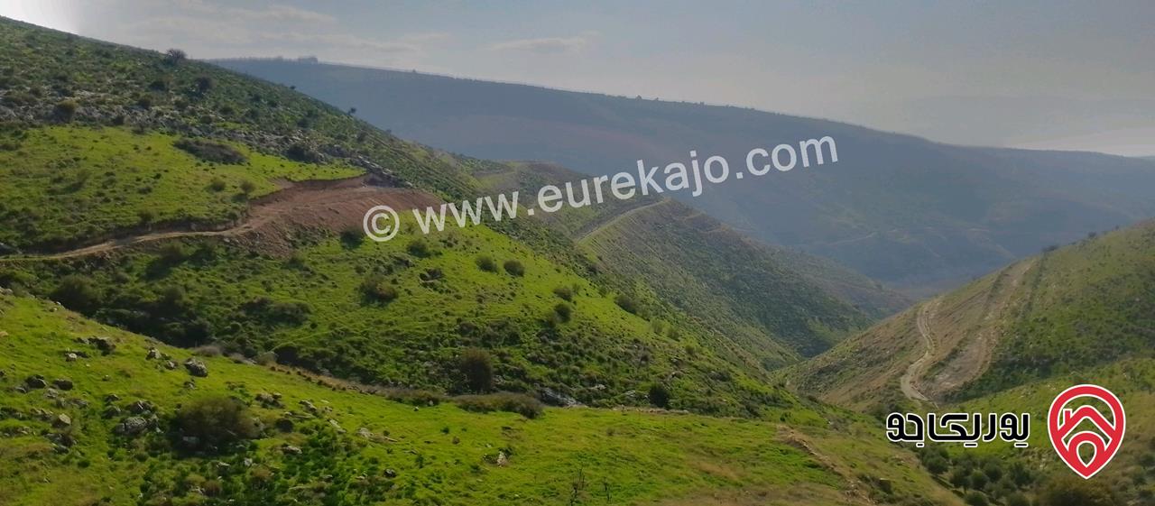 قطعة أرض مساحة 8650م للبيع في اربد - الكورة دير ابي سعيد 