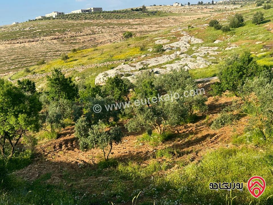 قطعة ارض على شارعين مساحة 4 دونم و 61م للبيع في اربد - كفر جايز