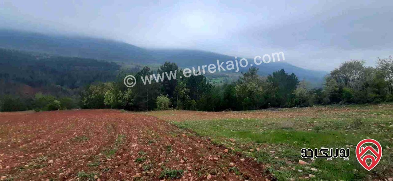 قطعة أرض مساحة 1079م للبيع من أراضي غرب عمان - بدر الجديدة بلال 